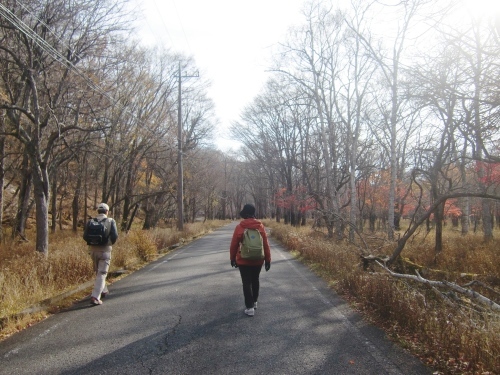 f0329849_21235046.jpg