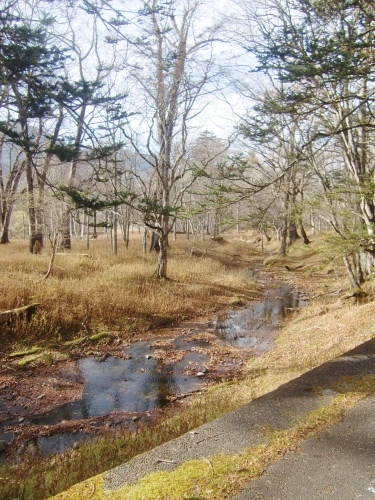 f0329849_21243538.jpg
