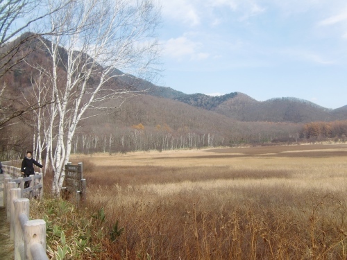 f0329849_21251106.jpg