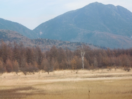 f0329849_21254748.jpg