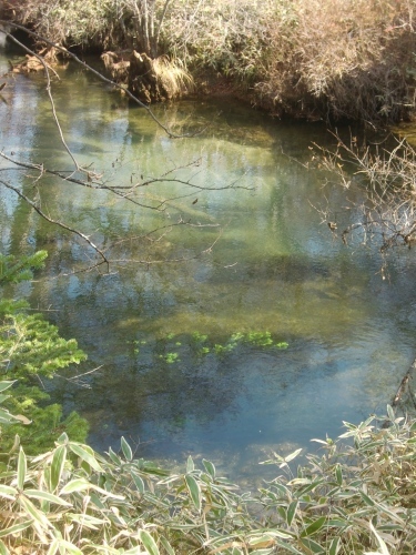 f0329849_21282748.jpg