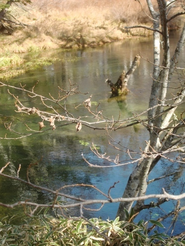 f0329849_21292794.jpg