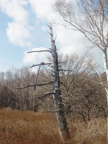 f0329849_21300868.jpg