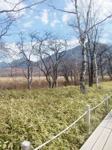 f0329849_21311575.jpg