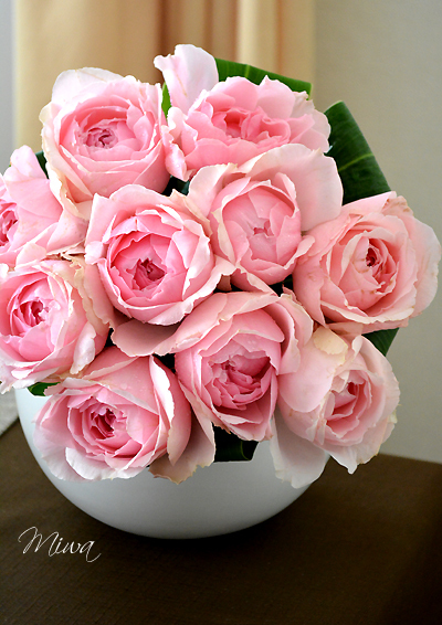 薔薇の誘惑 Miwaの優しく楽しく 薔薇の誘惑 Miwaの優しく楽しく