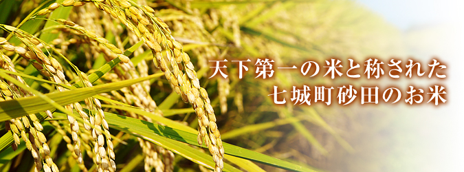 平成27年度新米！熊本の美味しいお米（七城米、砂田のれんげ米、菊池水源棚田米）好評発売中！ _a0254656_1749285.jpg