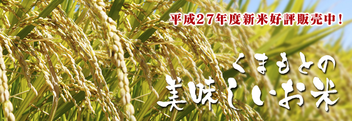 平成27年度新米！熊本の美味しいお米（七城米、砂田のれんげ米、菊池水源棚田米）好評発売中！ _a0254656_1933968.jpg