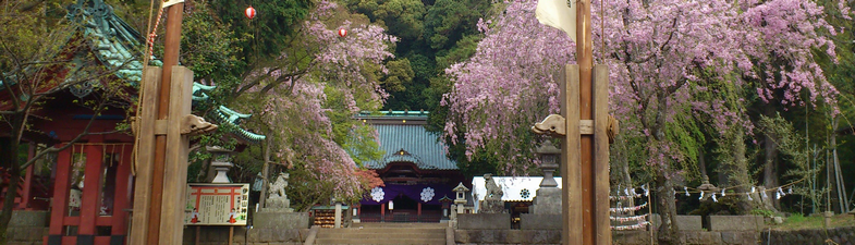 a0057057_15274119.png