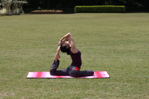 はとのポーズ 写真はそのバリエーションです いこいyoga 心身相関 芯から健やかに