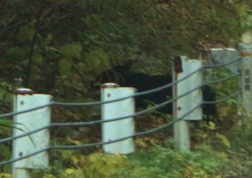 c0294658_08315285.jpg