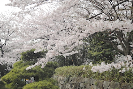 飛鳥山薪能　＠飛鳥山公園_f0054859_12273195.jpg