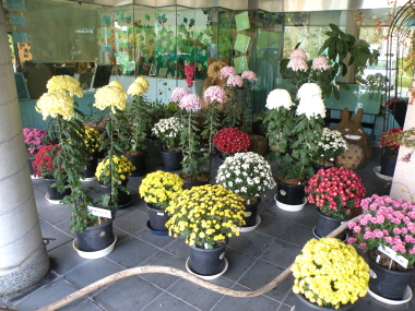 福祉松快園様 文化祭_e0170461_17475692.jpg