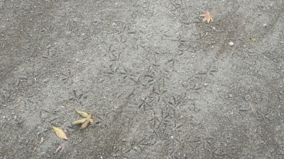 d0122762_13065793.jpg