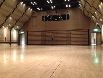 ダンスギャザリング11.01☆報告_e0124863_8223623.gif