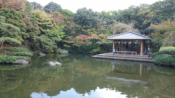 平塚總合公園_e0209864_17181072.jpg