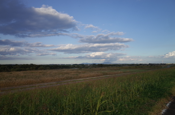 a0232368_12283272.jpeg