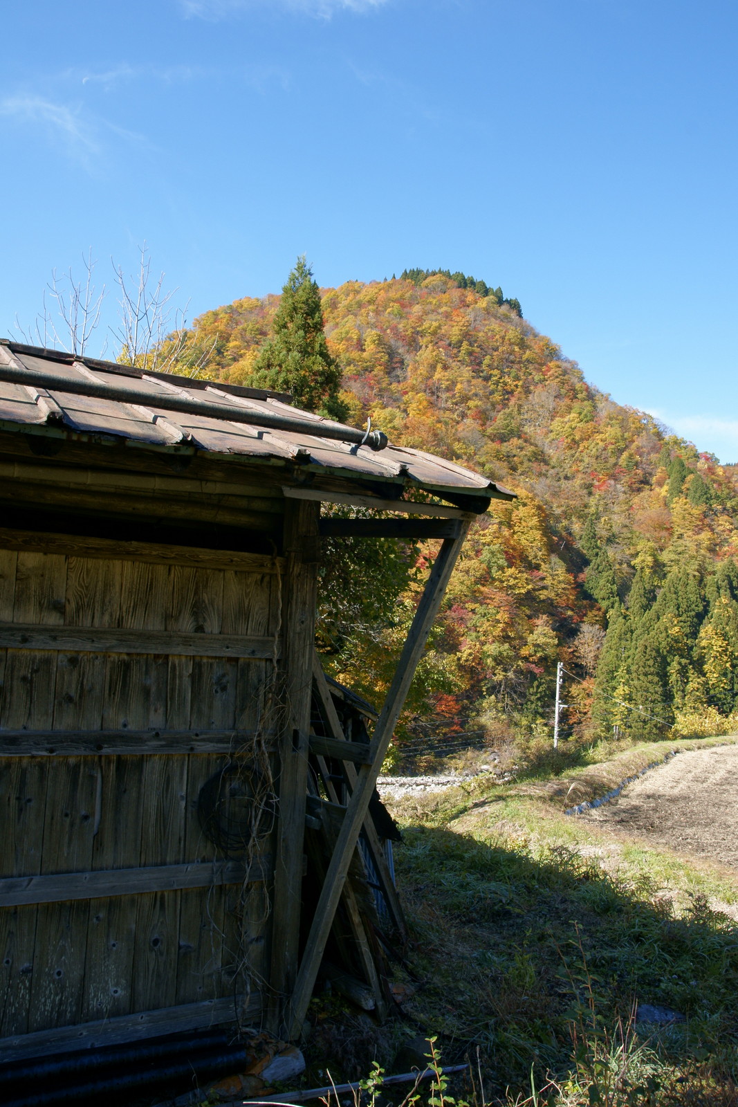 峠の紅葉 その2_b0311168_10474728.jpg