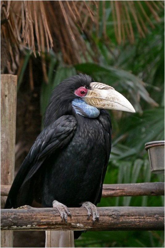 東武動物公園_a0079473_99530.jpg