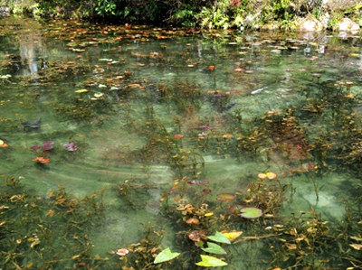 c0289473_13471292.jpg