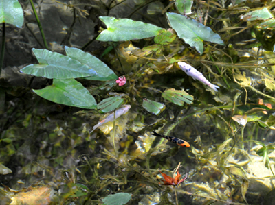 c0289473_13472693.jpg