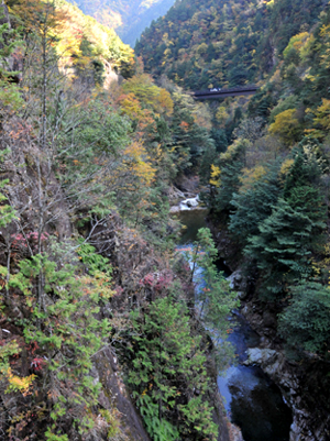 c0289473_13481318.jpg