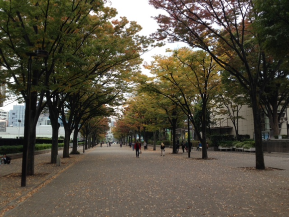 c0023278_1962412.png