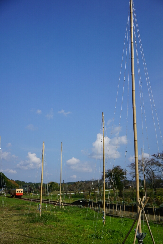d0341483_20211082.jpg