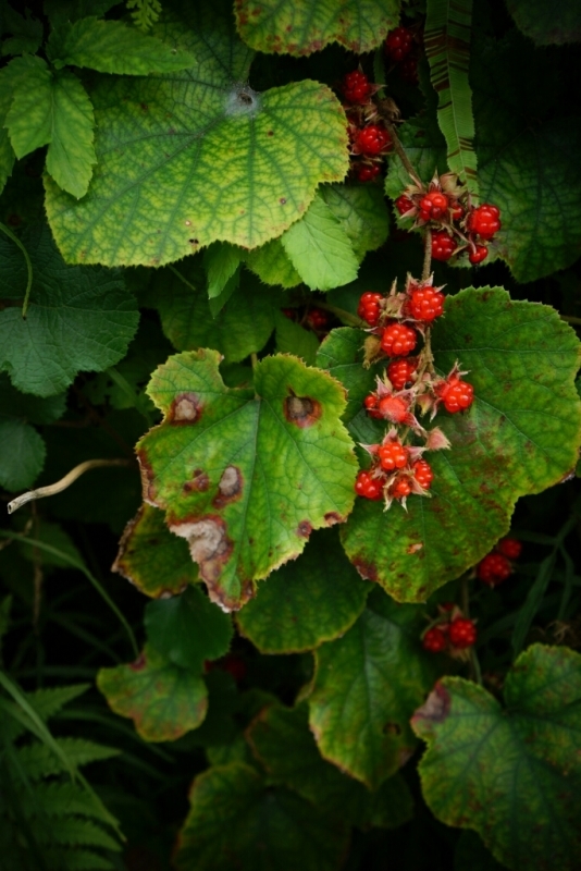 d0341483_20212345.jpg