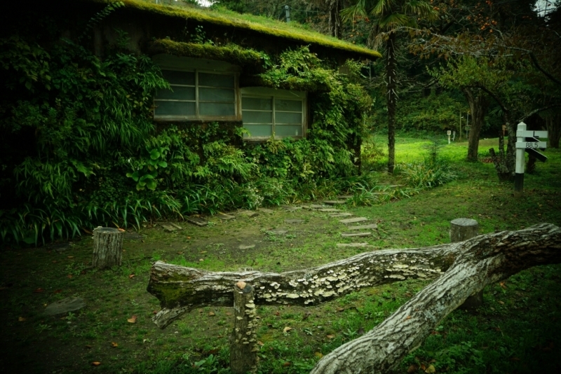 d0341483_20412687.jpg