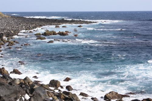 c0204385_20292119.jpg