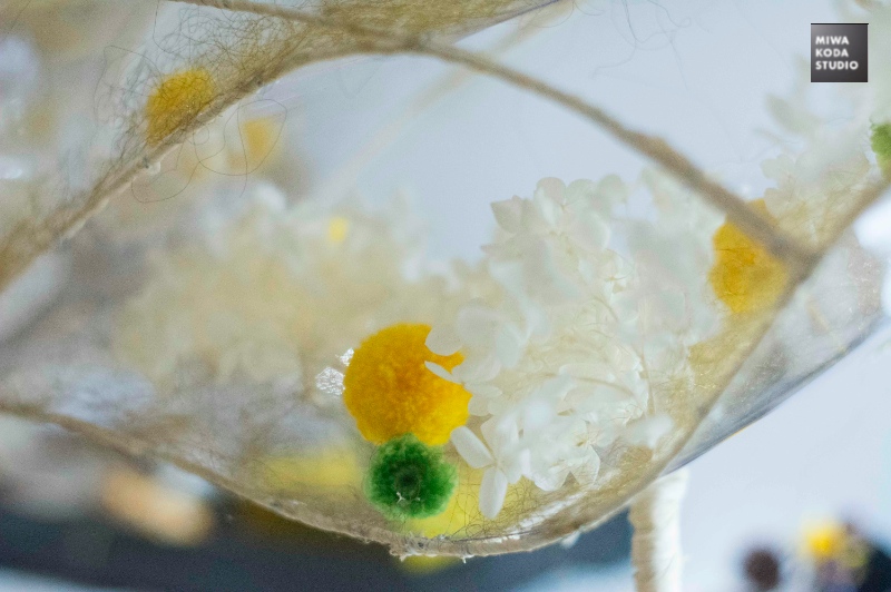 November 9, 20 15 まろやかな写真 Soft in Picture_a0307186_2033056.jpg
