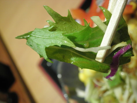 c0118393_10304626.jpg