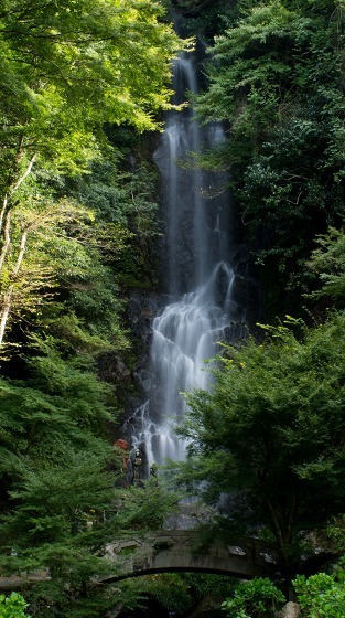 e0176993_06554400.jpg
