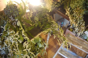 「フボーの植物展 白4」はじまりました!_f0226293_97361.jpg