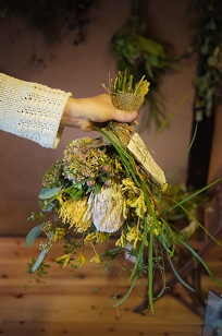 「フボーの植物展 白4」はじまりました!_f0226293_981574.jpg