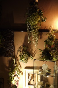 「フボーの植物展 白4」はじまりました!_f0226293_985025.jpg