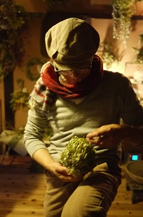 「フボーの植物展 白4」はじまりました!_f0226293_992525.jpg