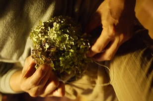 「フボーの植物展 白4」はじまりました!_f0226293_993614.jpg