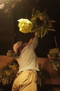 「フボーの植物展 白4」はじまりました!_f0226293_99583.jpg