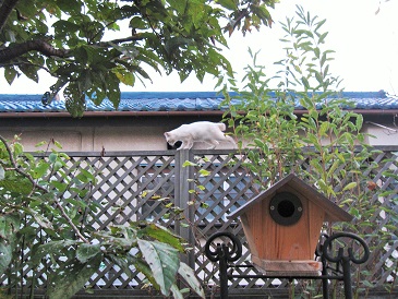 c0117898_1034428.jpg