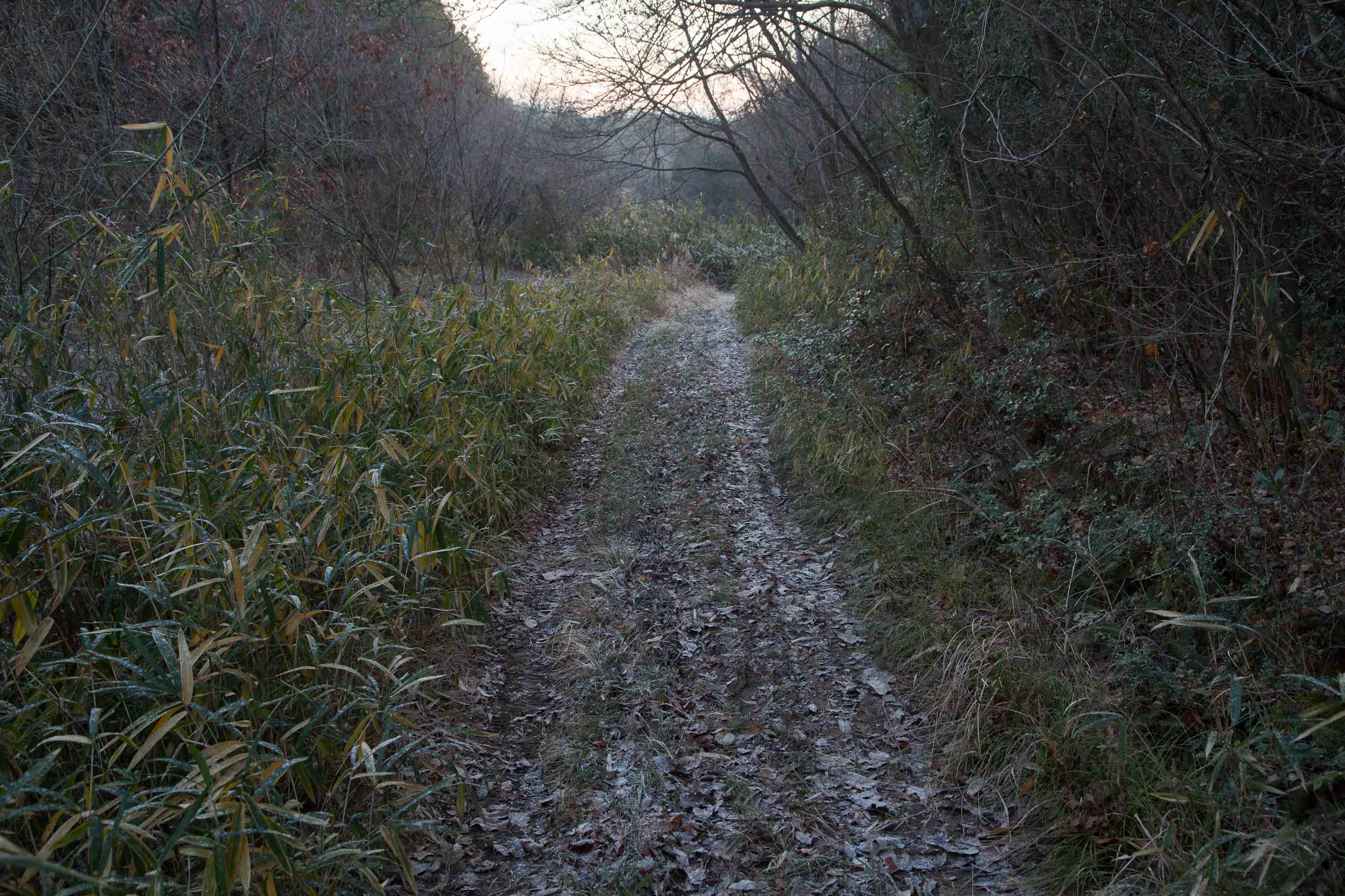 c0248100_20204961.jpg