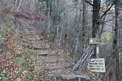 a0158702_20231529.jpg