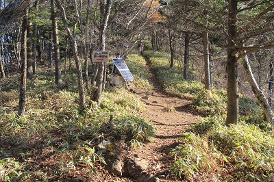 a0158702_20241770.jpg