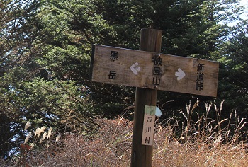 a0158702_20244450.jpg