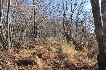 a0158702_20245621.jpg