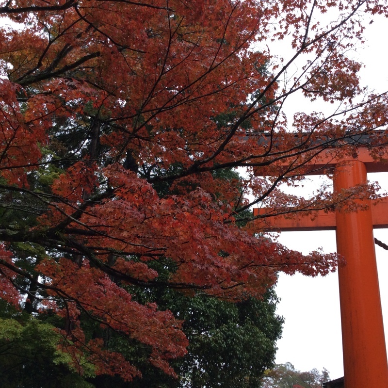 b0220002_21463776.jpeg