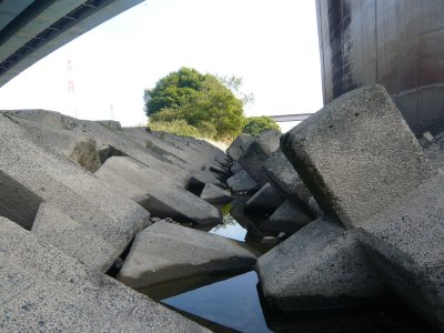 c0024502_23244310.jpg