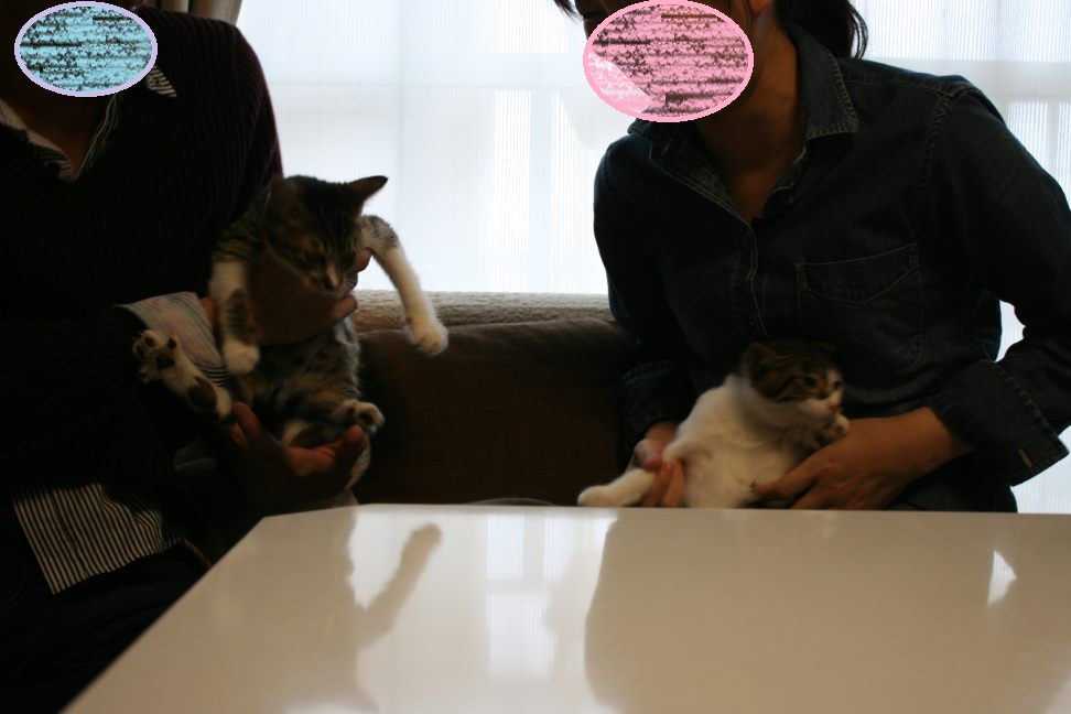 すももちゃん 新生活スタート!_f0242002_12532.jpg