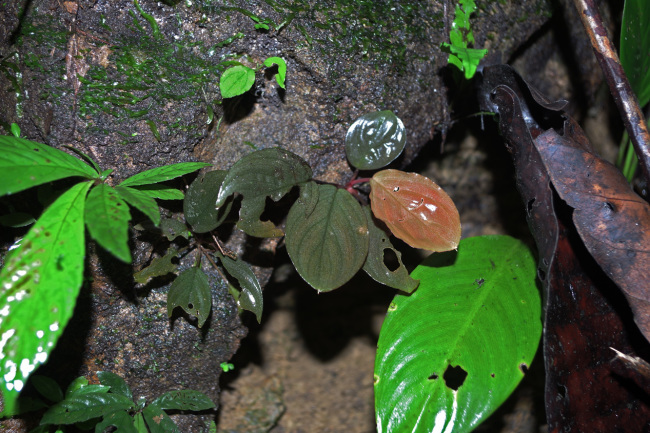 e0218504_10392418.jpg
