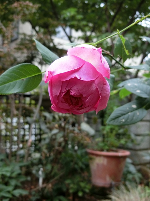e0234004_13114927.jpg